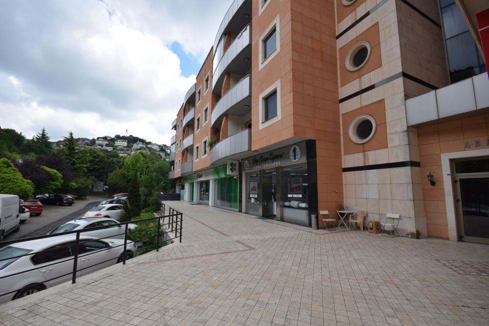 ACARKENT ACARSİZE BLOKLARINDA ORMAN MANZARALI SATILIK DAİRE